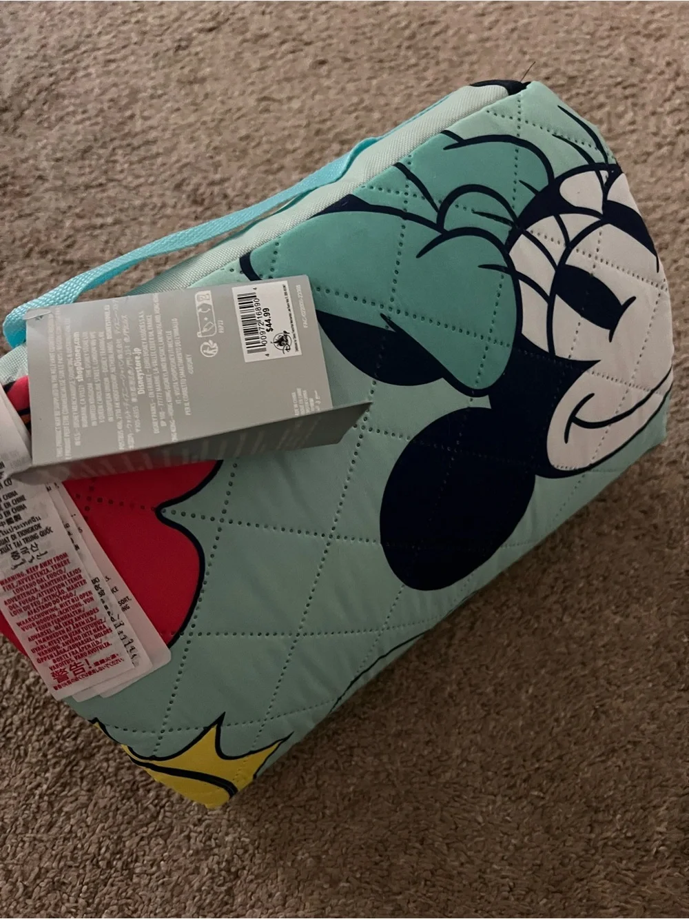 Disney foldable picnic
